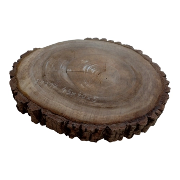Plaster Orzecha Włoskiego 45x40x5cm
