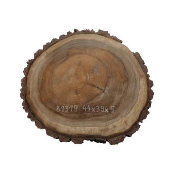 Plaster Orzecha Włoskiego 44x39x5cm