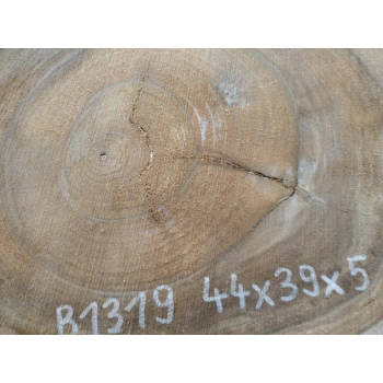 Plaster Orzecha Włoskiego 44x39x5cm