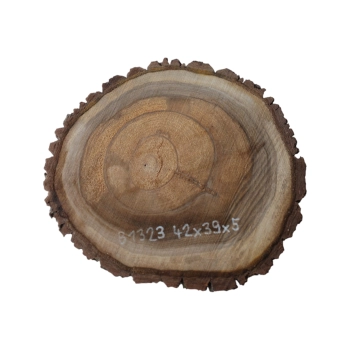 Plaster Orzecha Włoskiego 42x39x5cm