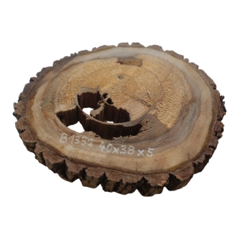 Plaster Orzecha Włoskiego 40x38x5cm