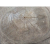 Plaster Orzecha Włoskiego 56x44x6cm