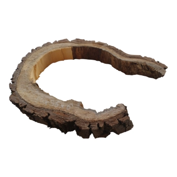 Plaster Orzecha Włoskiego 50x36x6cm