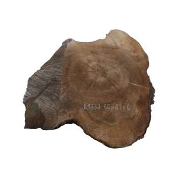 Plaster Orzecha Włoskiego 60x62x6cm