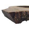 Plaster Orzecha Włoskiego 55x49x7cm