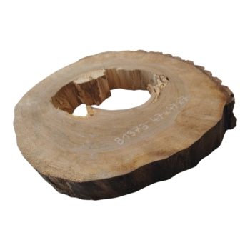 Plaster Orzecha Włoskiego 47x47x7cm