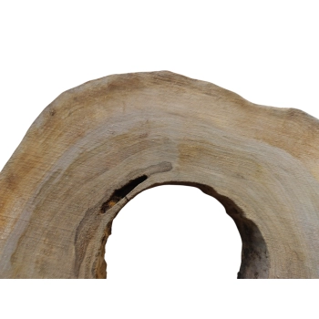 Plaster Orzecha Włoskiego 50x48x6cm
