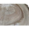 Plaster Orzecha Włoskiego 47x46x7cm