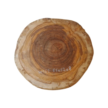 Plaster Wiązu 66x62x8cm