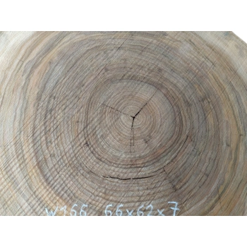 Plaster Wiązu 66x62x7cm