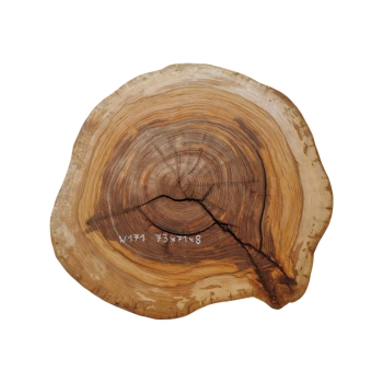 Plaster Wiązu 73x71x8cm