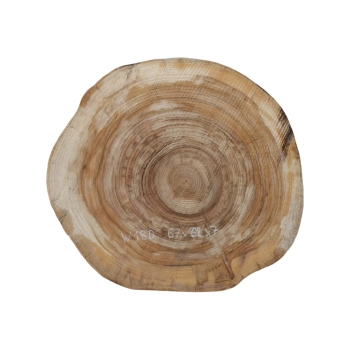 Plaster Wiązu 67x62x7cm
