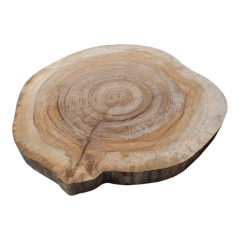 Plaster Wiązu 66x67x7cm