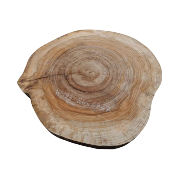 Plaster Wiązu 66x67x7cm