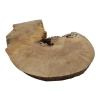 Plaster Jawora 63x43x7cm