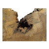 Plaster Jawora 63x43x7cm