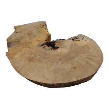 Plaster Jawora 63x43x7cm