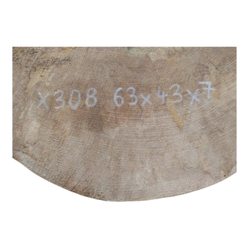 Plaster Jawora 63x43x7cm