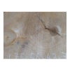Plaster Lipy 56x43x7cm