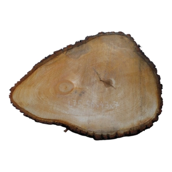 Plaster Lipy 56x43x7cm