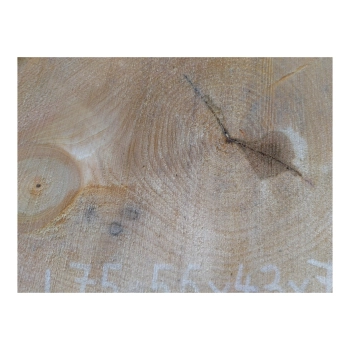 Plaster Lipy 56x43x7cm