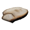 Plaster Lipy 52x45x6cm
