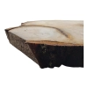 Plaster Lipy 52x45x6cm
