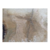 Plaster Lipy 52x45x6cm