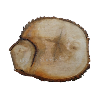 Plaster Lipy 52x45x6cm