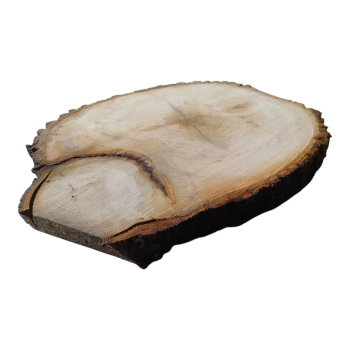 Plaster Lipy 52x45x6cm