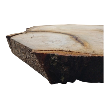 Plaster Lipy 52x45x6cm