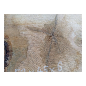 Plaster Lipy 52x45x6cm