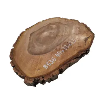 Plaster Orzecha Włoskiego 40x33x3,5cm