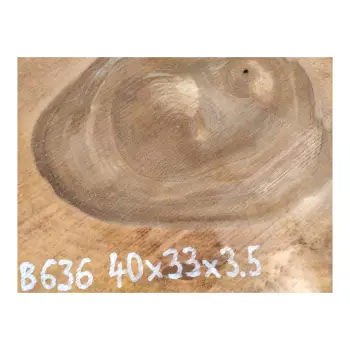 Plaster Orzecha Włoskiego 40x33x3,5cm