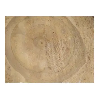 Plaster Orzecha Włoskiego 39x34x4cm