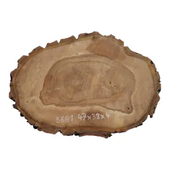 Plaster Orzecha Włoskiego 47x32x4cm