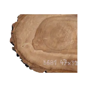 Plaster Orzecha Włoskiego 47x32x4cm