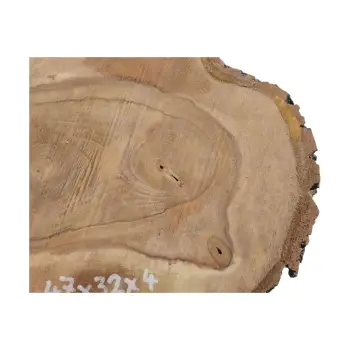 Plaster Orzecha Włoskiego 47x32x4cm