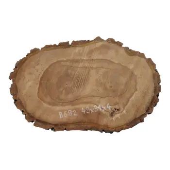 Plaster Orzecha Włoskiego 49x31x4cm