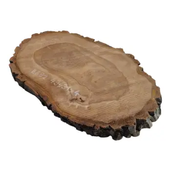 Plaster Orzecha Włoskiego 49x31x4cm