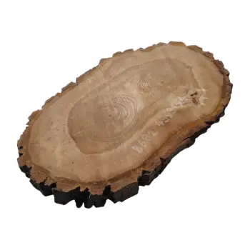 Plaster Orzecha Włoskiego 49x31x4cm