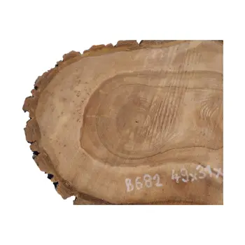 Plaster Orzecha Włoskiego 49x31x4cm