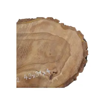 Plaster Orzecha Włoskiego 49x31x4cm