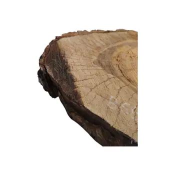 Plaster Orzecha Włoskiego 43x37x5cm