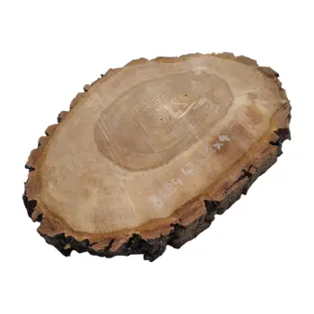 Plaster Orzecha Włoskiego 43x32x4cm