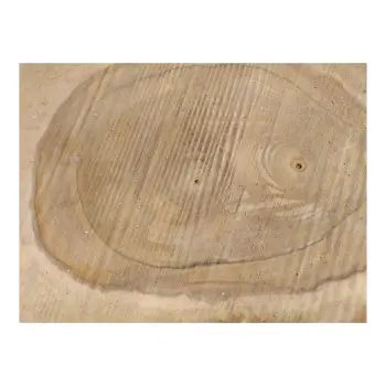 Plaster Orzecha Włoskiego 43x32x4cm