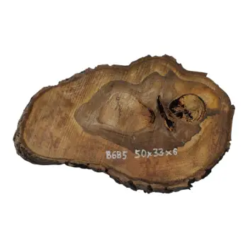 Plaster Orzecha Włoskiego 50x33x6cm