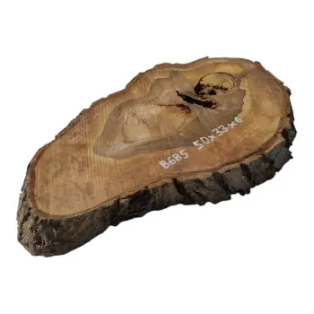 Plaster Orzecha Włoskiego 50x33x6cm