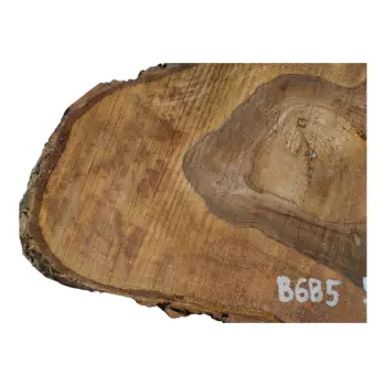 Plaster Orzecha Włoskiego 50x33x6cm