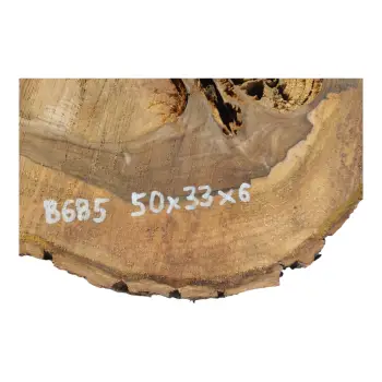 Plaster Orzecha Włoskiego 50x33x6cm